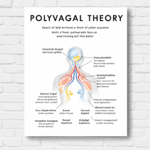 CURSO TEORÍA POLIVAGAL